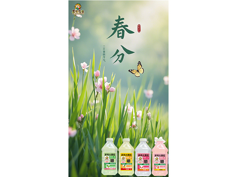 春來處處百花香 莫負(fù)好時光