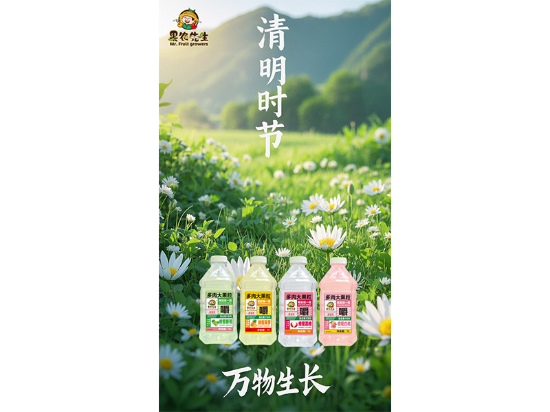 細(xì)雨綿綿已清明 暖暖春意訴濃情