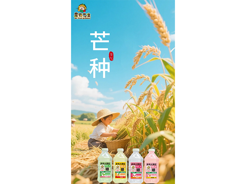 仲夏嬋長鳴 芒種正當(dāng)時