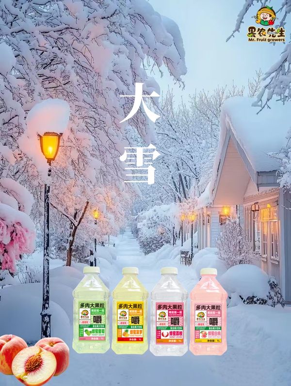 圖片2